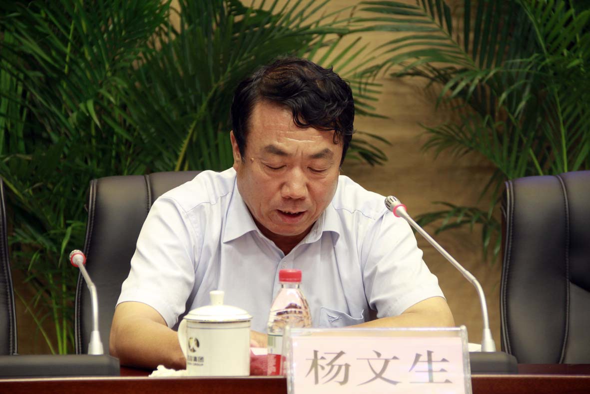 集团公司副总裁杨文生主持会议