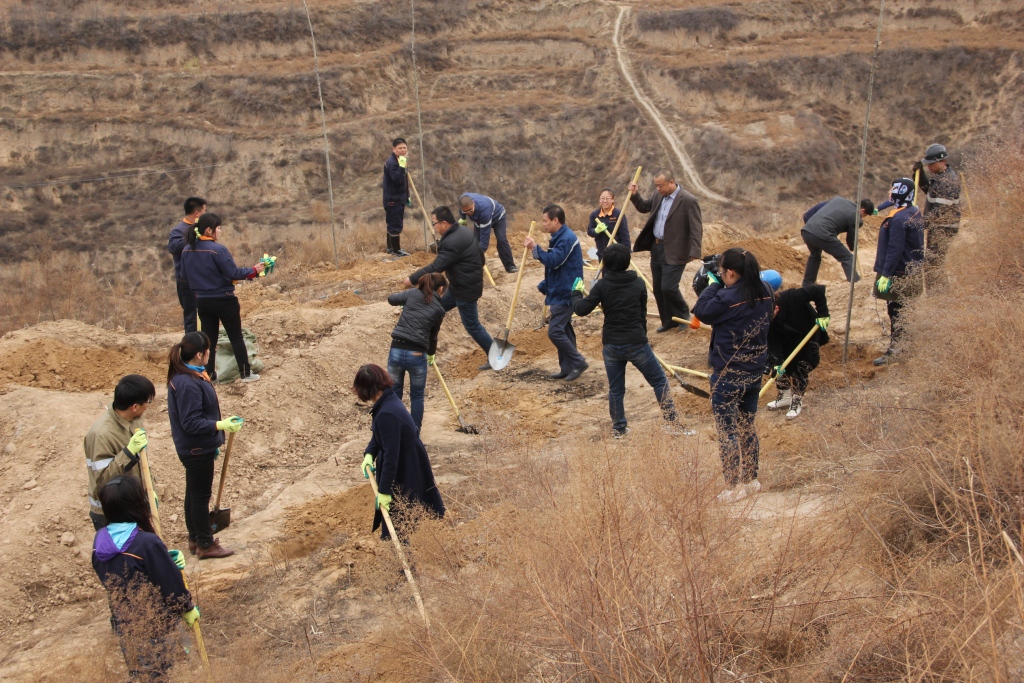 （17）公司组织员工进行美化矿区义务植树活动